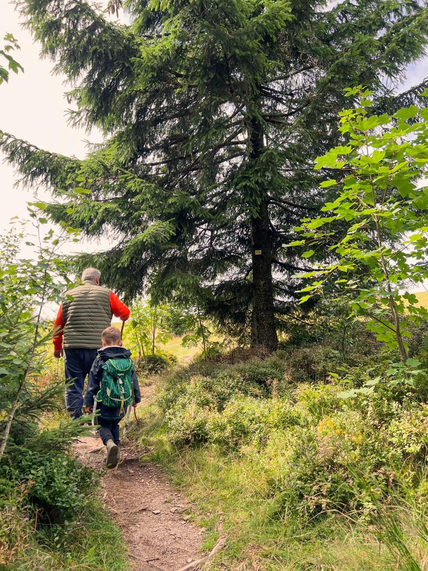 Bergwelt Kandel & Eventlocation