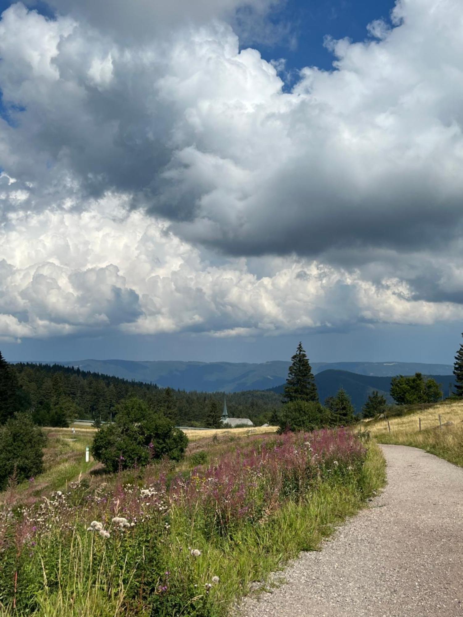 Hotel Bergwelt Kandel & Eventlocation