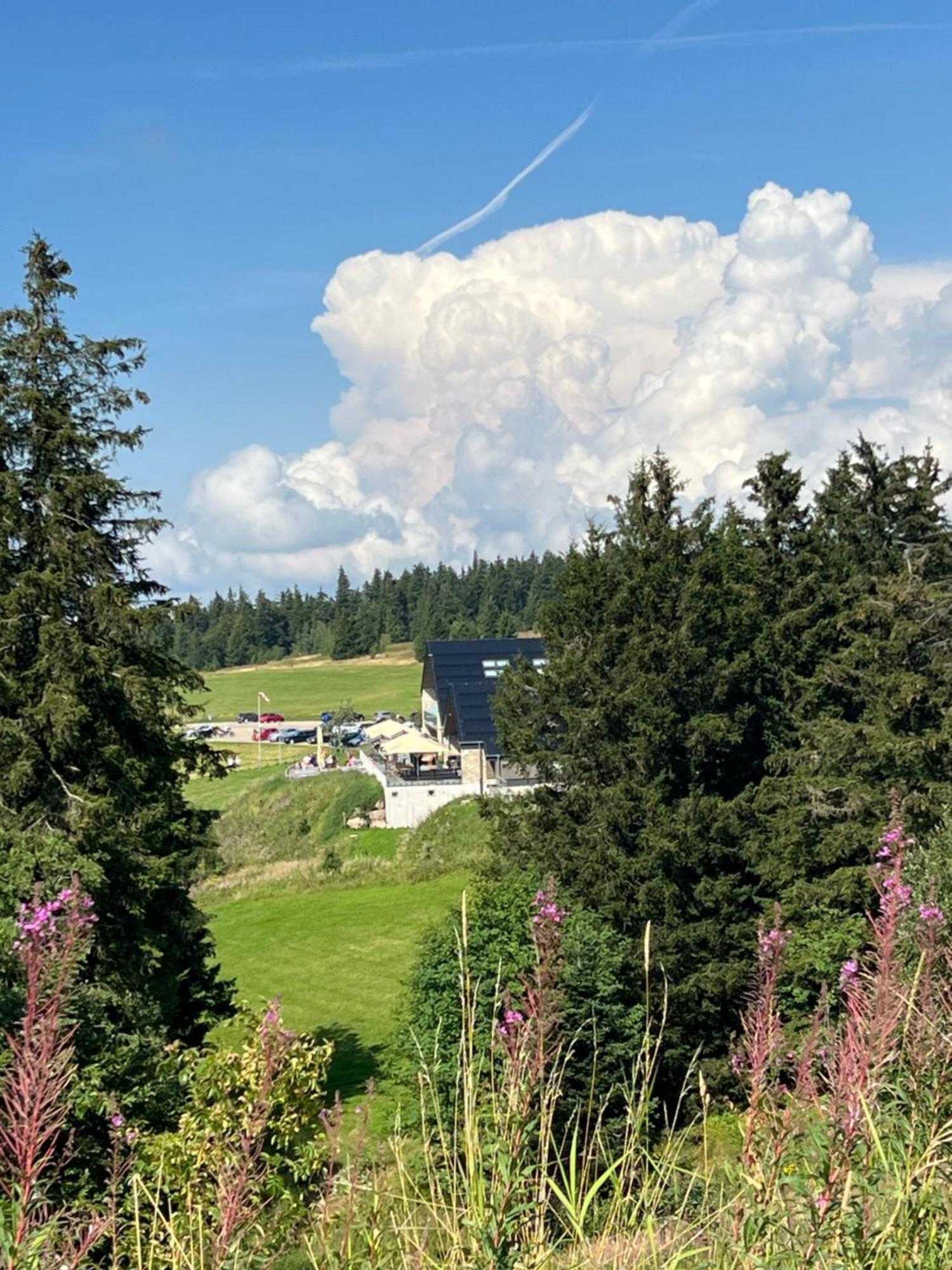 Bergwelt Kandel & Eventlocation Hotel Waldkirch